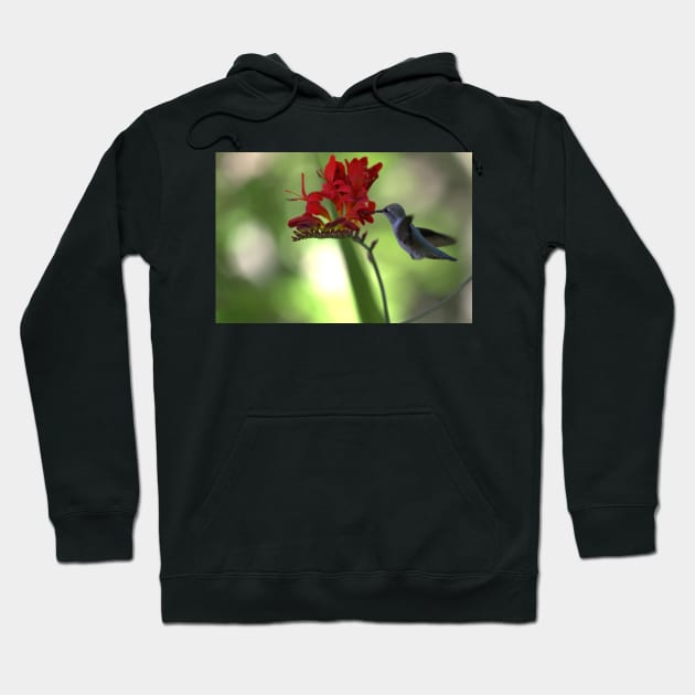 850_5919 Hoodie by wgcosby